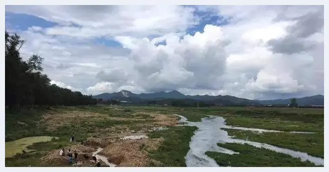 天价析木玉，这匹“黑马”贵到玩不起！(玉石百科) | 玉石百科