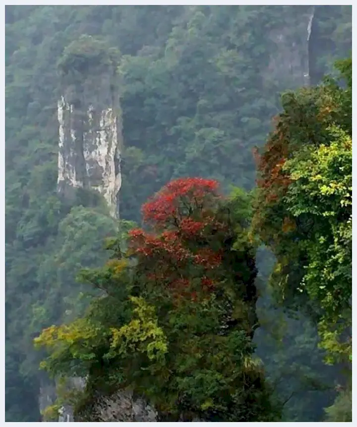 独山，是我们的父亲山 白河，是我们的母亲河(玉石文摘) | 玉石文摘