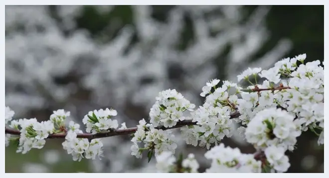 玉见归人，一起看雪？小雪，玉见(玉石文化) | 玉石文化