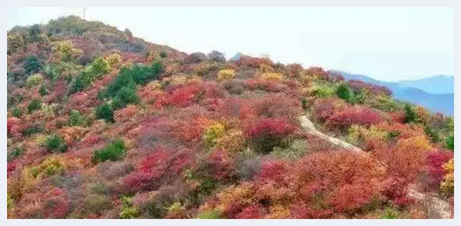 玉润砣舞，漫谈玉文化及独山玉之审美情趣与传世价值(玉石资料) | 玉石资料