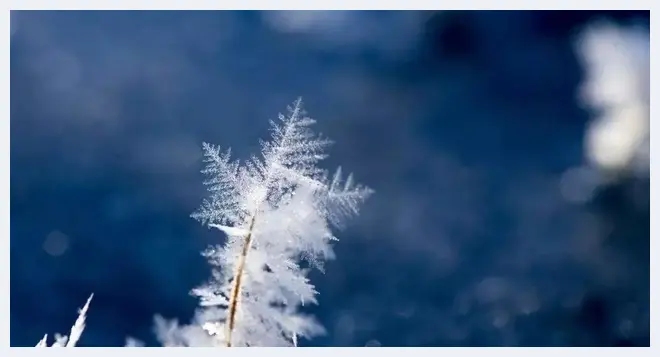 玉见归人，一起看雪？小雪，玉见(玉石文化) | 玉石文化