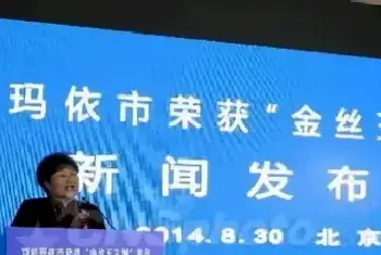 金丝玉真的是在炒作吗？(玉石知识)