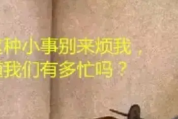 中国玉雕刻作品，为何名字总是那么俗？(玉石百科)